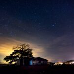 起業に向いている人の星の傾向｜10室・11室・ラーフで見る社会的役割